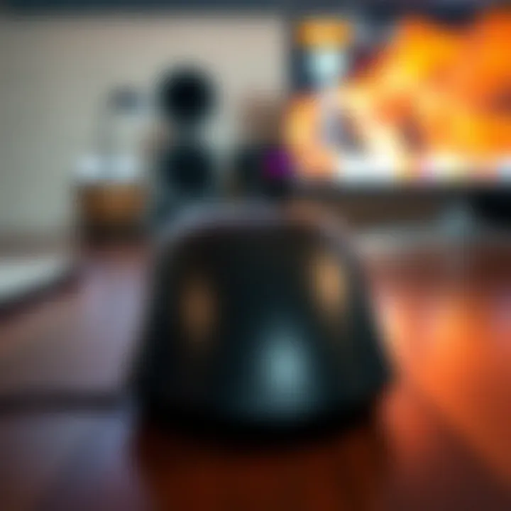 Magnificent The Remote Mouse: An In-Depth Exploration