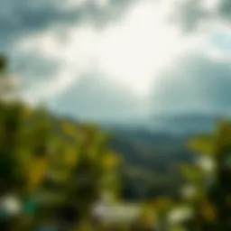 A Comprehensive Exploration of Moises Premium APK Introduction