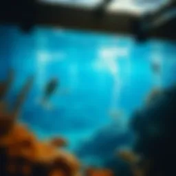 Exploring Aquapark.io: A Comprehensive Overview Introduction
