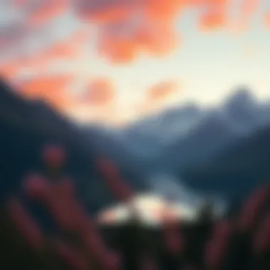 Notable Exploring Ibis Paint X on PC: The Unlimited APK Experience Notable Exploring Ibis Paint X on PC: The Unlimited APK Experience