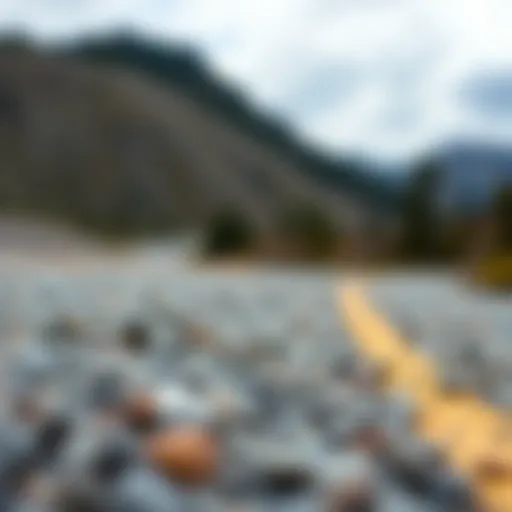 Exploring Maxplay: The Apex of APK Modifications and Enhancements Introduction