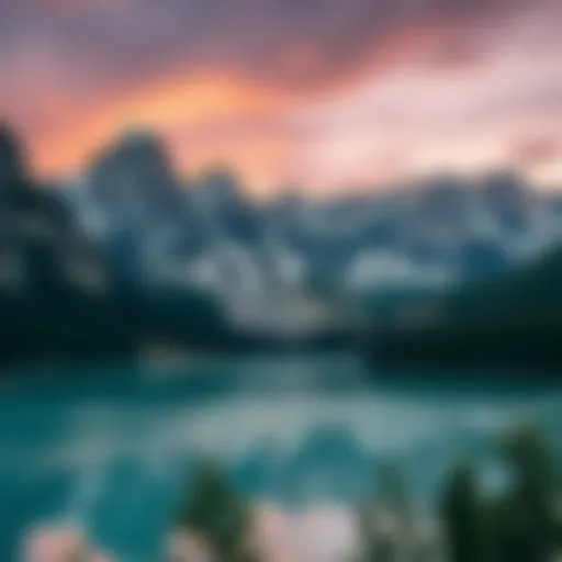 Exploring Niagara Launcher Pro: A Comprehensive Guide Introduction