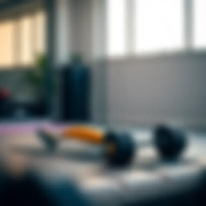 Notable Home Workout - No Equipment Mod APK: A Comprehensive Exploration